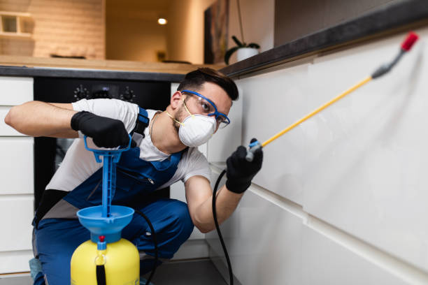 Best Wildlife Control Services  in Fort Loramie, OH