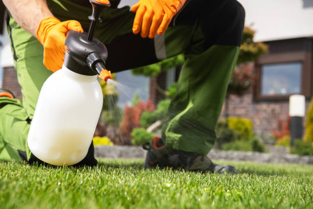 Best Pest Inspection Near Me  in Fort Loramie, OH