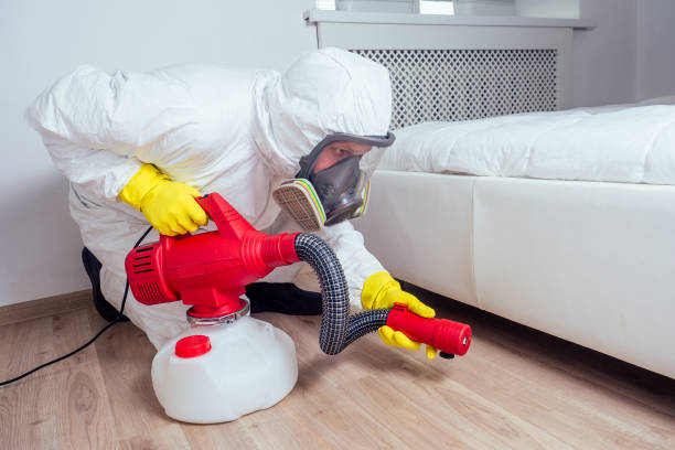 Best Best Pest Control Companies  in Fort Loramie, OH