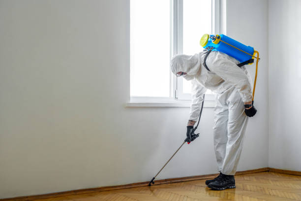 Best Rat Extermination Near Me  in Fort Loramie, OH