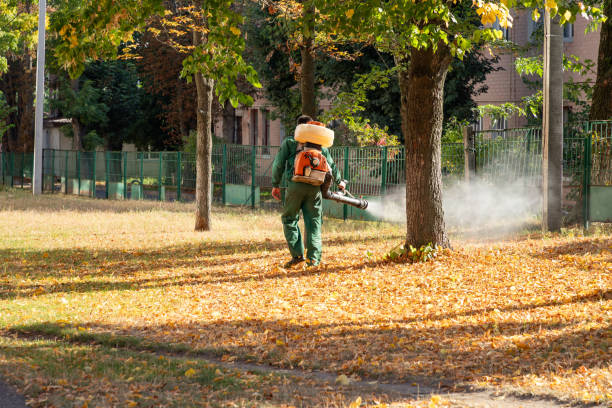 Best Pest Removal Services  in Fort Loramie, OH