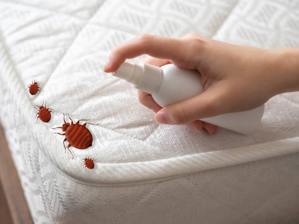 Best Pest Control Treatment  in Fort Loramie, OH